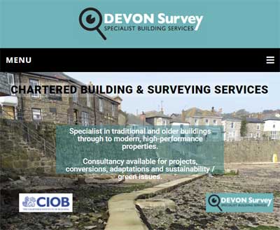 Website for specialist building services - Devon Survey