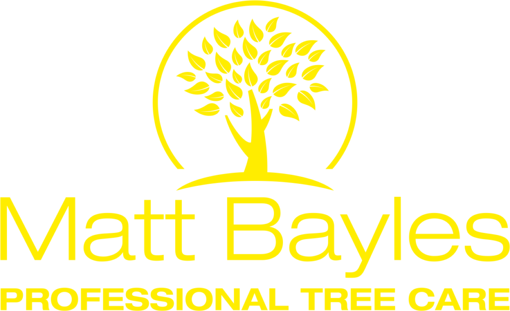 Matt Bayles logo