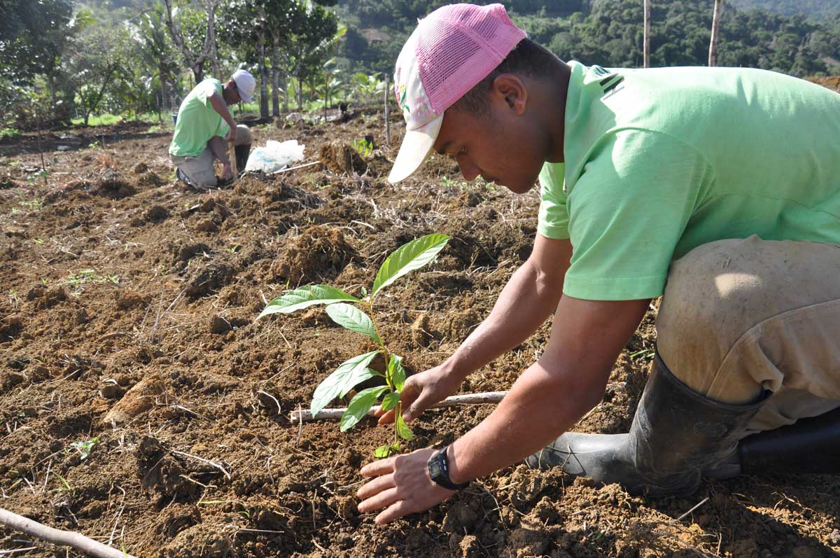 Planting a tree of hope in zimbabwe